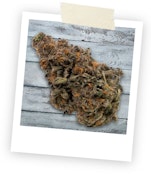 Limited Edition 7g Dried flower