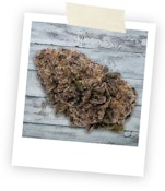 Mellow Man 28g Dried Flower