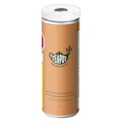 TeaPot - Good Day Iced Tea Mango Green Tea - 355ml