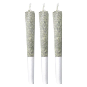 Pineapple Buds - VOLCANIC HAZE CRAFT PRE-ROLLS - 1.5