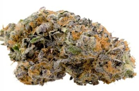 STONEHOUSE - DOSIDOS X WEDDING CAKE F3 X JEALOUSY - 1