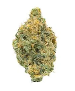 Coast Mountain Cannabis - BC ORGANIC GIRL SCOUT PLATINUM - 3.5G