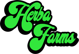 Herba Farms Orange DrAAAAnk - 3.5g Whole Bud