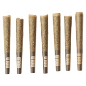 BOLD Root Beer Float Pre-Roll 7x0.5g