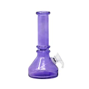 6" Mini Beaker Purple