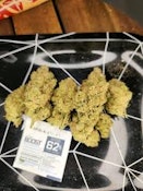 WTF (What the Fruit) Grapefruit 7g Dried Flower
