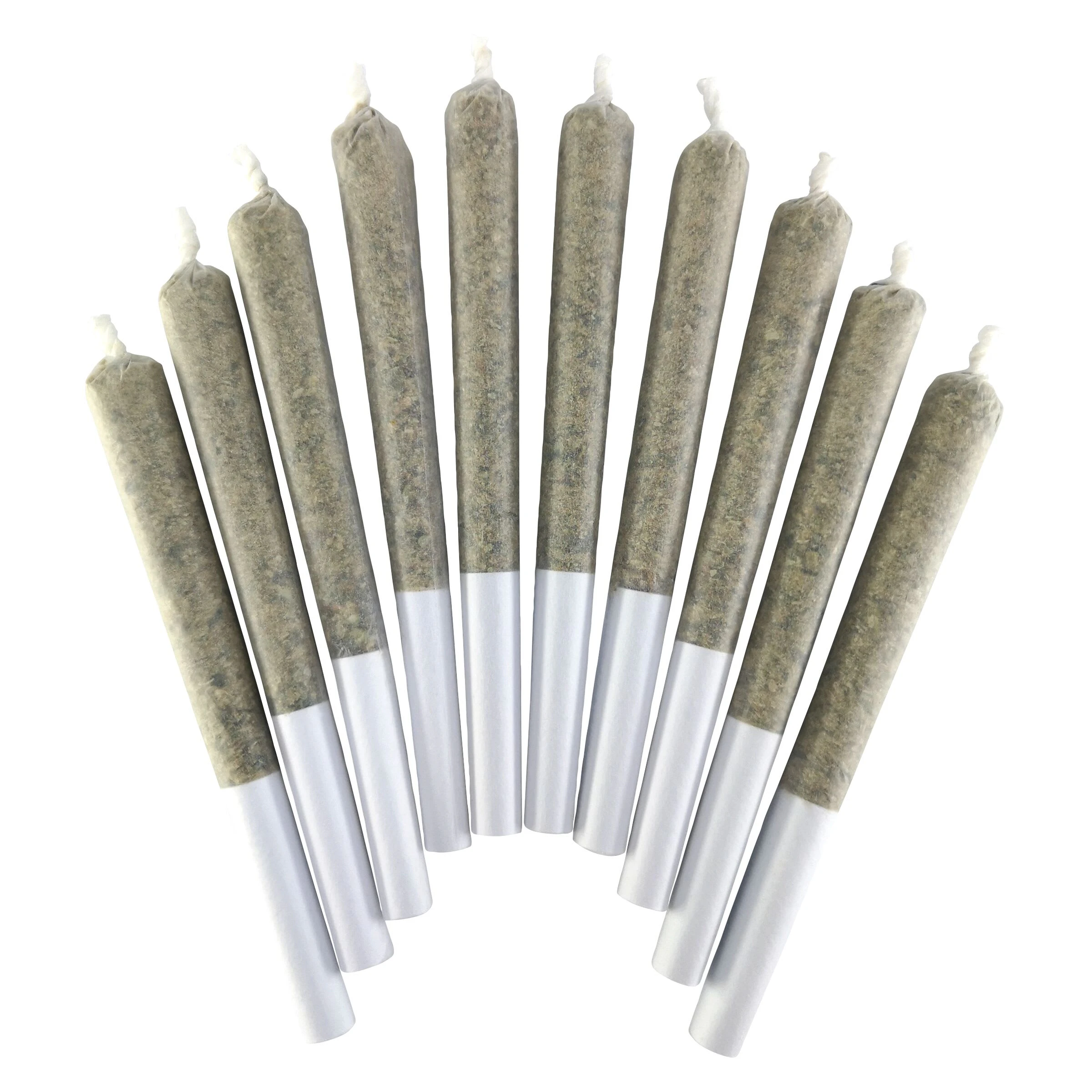 BC DOOBIES - Tropical Truffle Pre-Roll - BC Doobies Main Image
