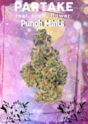 Punch Mints 1 x 0.75 Pre-Rolls