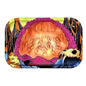 OCB - OCB Tray - Small - Spider