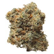 BLUE DREAM FLOWER - 1