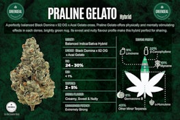 Praline Gelato 7g Dried Flower