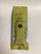 Choice Leaf Palm Natural Leaf 1G 2 Cones