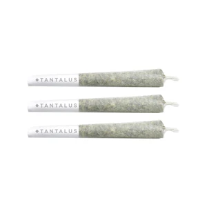 Tantalus - HARLEQUIN PRE-ROLLS - 1.5