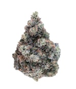 DF - Woody Nelson - Country Club (Cactus Milk) LTO - 14g