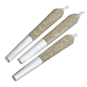 Astro Lab Infused PreRolls - Pineapple Orange Peel 3x 0.5g Live Rosin Infused