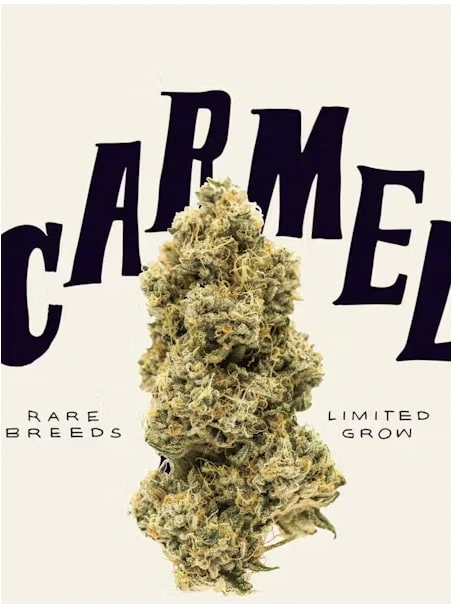 Carmel Cannabis - Animal Face Main Image