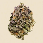 Pink Kush (Small Buds)
