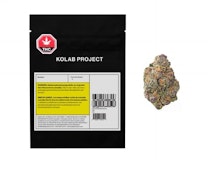 Exotics 7g Dried Flower
