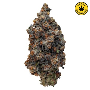 Rocket Factory - Interstellar Stash 7g | Gelato OG Kush