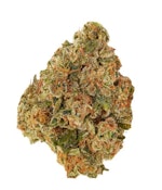 PUMPKIN SPICE - 7g