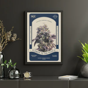 Victoria Cannabis Company - VCC Poster