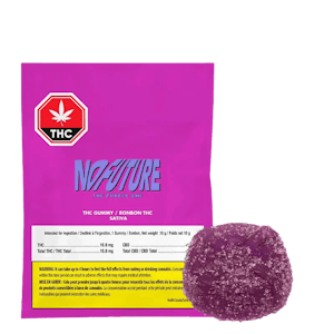 INDIVA INC. - No Future | The Purple One Sativa