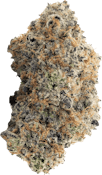 Coterie - Alien Mintz | 7g