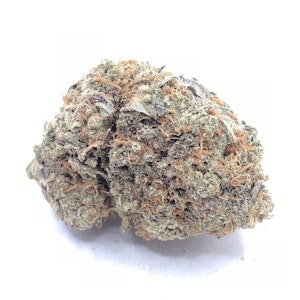 Pistol and Paris - Pistol & Paris Pink Panties