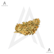 Sherbert Glue | 3.5g