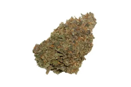 Sun Coast Cannabis Inc. - LICORICE GUMBALL - 7