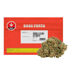 BACK FORTY - Back Forty - Banana OG - 28g Main Image