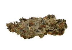 PB SORBET LTO - 7G