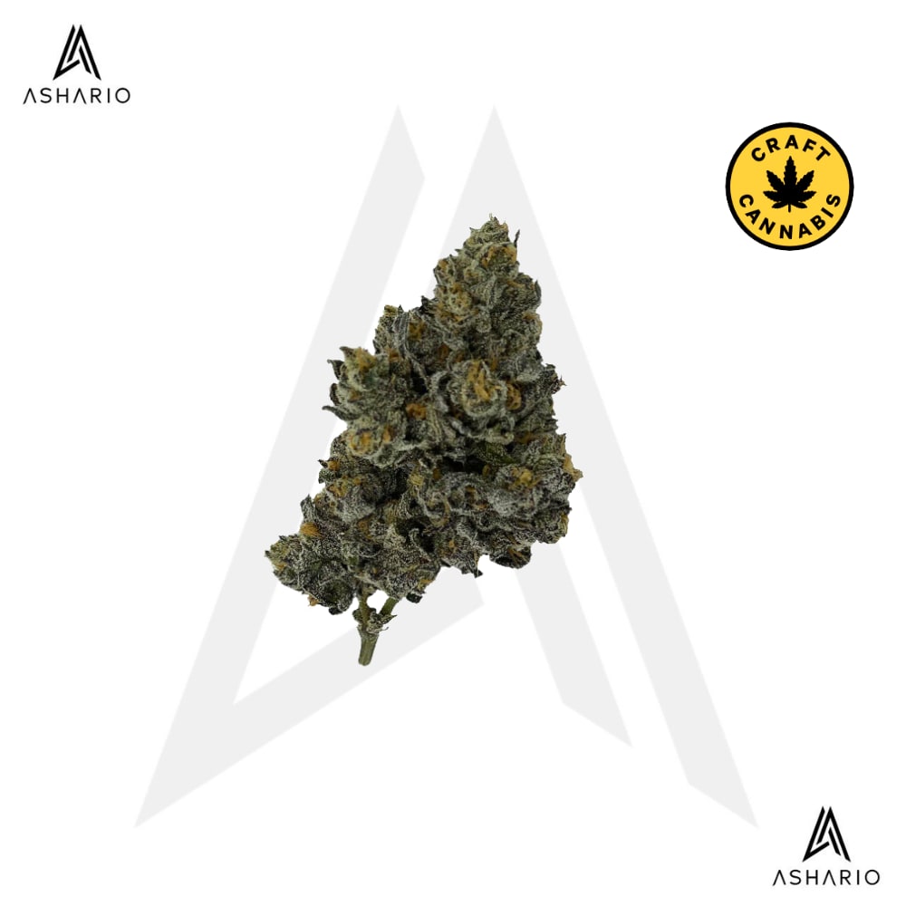 Rocket Factory Exotic Matter - Ashario Cannabis