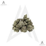 Mr. Nasty | 14g