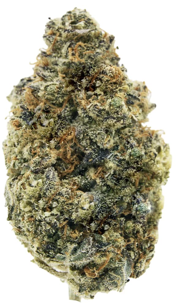 All Nations | LEMON TARTZ | 14g - Coastal Green - Cannabi...